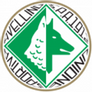 Avellino