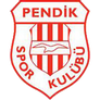 Pendikspor