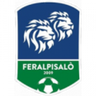 FeralpiSalo U19