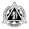 FC Petrocub Hincesti