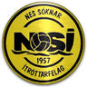 NSI