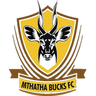 Mthatha Bucks