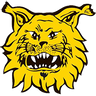 Ilves