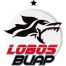 Lobos BUAP