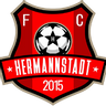 FC Hermannstadt