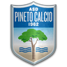 Pineto Calcio