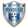 Viitorul Pandurii