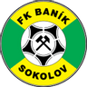 Banik