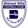 Bidvest Wits