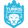 Turris-Oltul T. Magurele