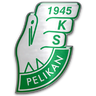 Pelikan