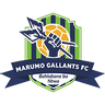 Marumo Gallants FC