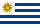 Uruguayan