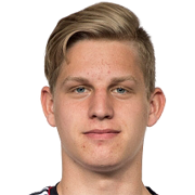 Player image Arne Maier