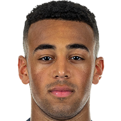 Player image Tyler Adams