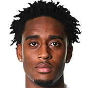 Player image Leroy Fer