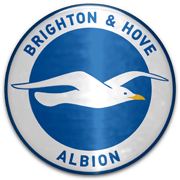 Brighton & Hove Albion logo