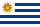 Uruguayaanse