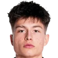 Esmir Bajraktarević