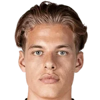 Joël van der Wilt