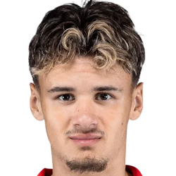 Player image Kerim Alajbegovic