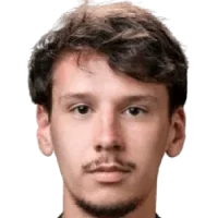 Alen Dizdarevic