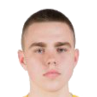 Mindaugas Vitkauskis