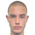 Mihajlo Vesnić
