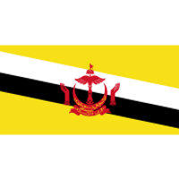 Brunei U16