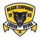 Black Leopards