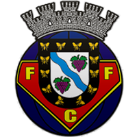 FC Felgueiras 1932